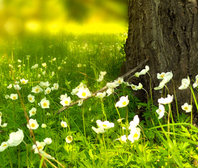 banner-contact-mobile