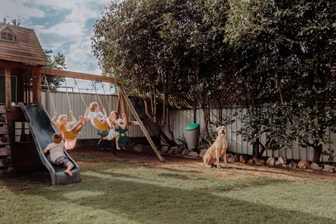 a group of kids on a swing and a dog in a backyard