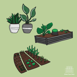 Grow Your Own Food at Home - Getting Started