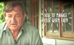 how to manage your worm farm