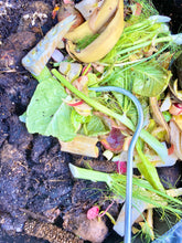 Using a Worm Farm Aerator to mix and aerate organic compost materials in a bin.