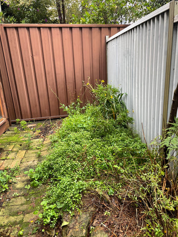 a fence and plants in a yard
