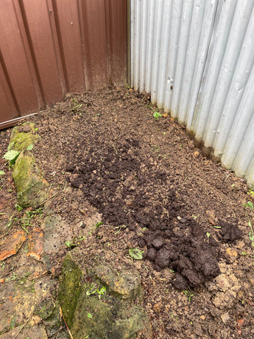 dirt soil on the ground