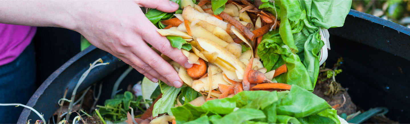 Information Composting