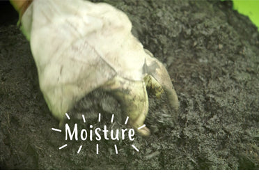 a closeup of a hand composting for moisture