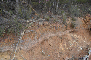 Understanding Soils - Soil Profiles