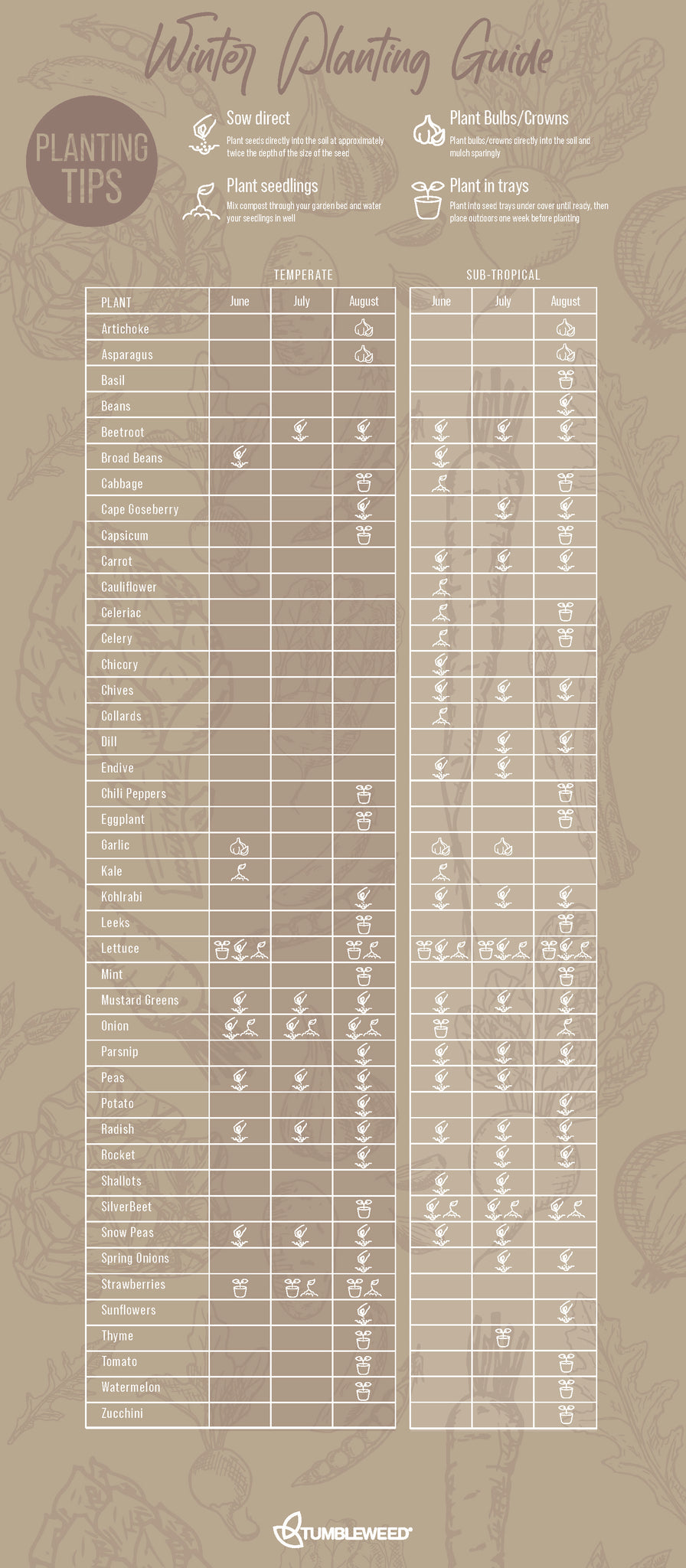 Winter Planting Guide