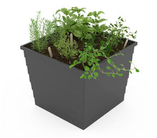 WaterUps® Square Planter