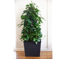 WaterUps® Square Planter