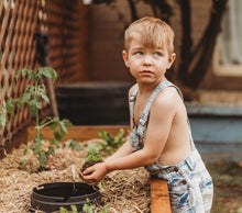 young boy looking up, adding soil inside a worm buffet