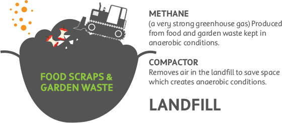 Food Scraps & Garden Waste